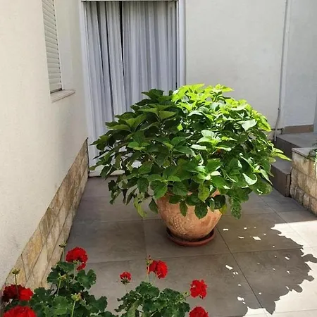 Apartmán With Parking Space - 21305