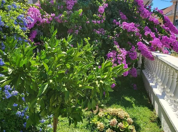 With Parking Space - 21305 *