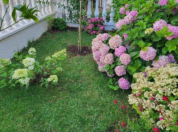 With Parking Space - 21305