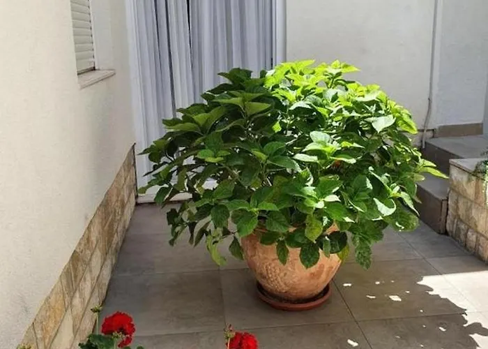 Апартаменты With Parking Space - 21305